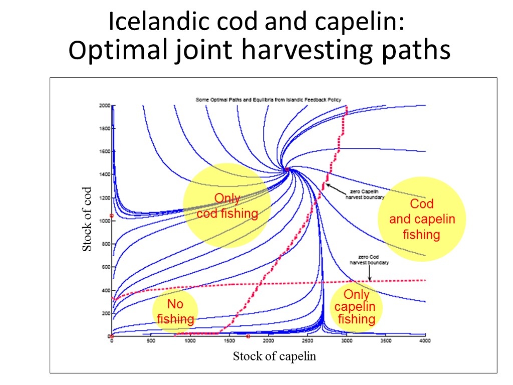 Icelandic cod and capelin: Optimal joint harvesting paths Only cod fishing Only capelin fishing